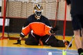 Floorball goalie defending the net at an important championship game