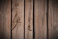 Floorboards with knots Royalty Free Stock Photo