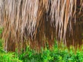 Flooring of dry palm leaves on the roof close-up Royalty Free Stock Photo