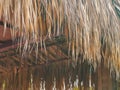 Flooring of dry palm leaves on the roof close-up Royalty Free Stock Photo