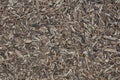 Flooring made of natural tree wood chips. Brown wooden background Royalty Free Stock Photo