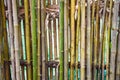 The floors, walls, fences of rural houses are made of bamboo