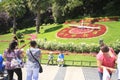 Flor del reloj, Valparaiso, Vina Del Mar, Chile