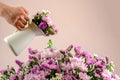 Flora concept photo that hand holding a white pot with flowers watering the bouquet of colorful flowers with pastel pink Royalty Free Stock Photo