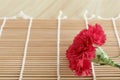 Flora flower bamboo background Royalty Free Stock Photo