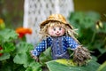 Flora Miscellaneous Objects Garden Figurine Scarecrow Ornamental Royalty Free Stock Photo