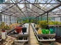 Flora Olomouc, czech - exhibition of plants in greenhouse