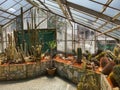 Flora Olomouc, czech - exhibition of plants in greenhouse