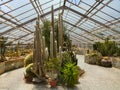 Flora Olomouc, czech - exhibition of plants in greenhouse