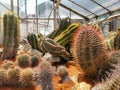 Flora Olomouc, czech - exhibition of plants in greenhouse