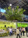 Flora Olomouc gardening event