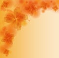 Floral abstract background