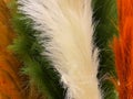 floral abstract background furry white green and reds