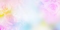 Floral abstract pastel background with copy space Royalty Free Stock Photo