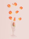 Floral afterparty inspired concept. Champagne glass with rose head inside and sunny shadow with many other rose petals above. Flat Royalty Free Stock Photo