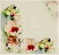 Floral aged postcard with stylized spring flowers