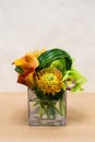 Floral arangement with Calla Lilies, cymbidium, protea and green Royalty Free Stock Photo