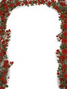 Floral arch of roses