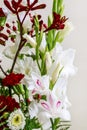 Floral arrangement with anigozanthos kangoroo paw flower, gladious sword lily, hypericum, astras and dahlias
