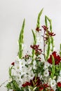 Floral arrangement with anigozanthos kangoroo paw flower, gladious sword lily, hypericum, astras and dahlias