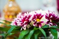 Floral arrangement at a baptismal party Royalty Free Stock Photo