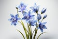 Floral arrangement, with a beautiful Bluebell flower.