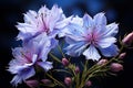 Floral arrangement, with a beautiful Nigella flower.