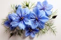 Floral arrangement, with a beautiful Nigella flower.