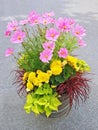 Floral arrangement with begonias and cosmos flowers