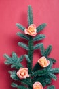 Floral arrangement fir tree sprig rose buds pink Royalty Free Stock Photo