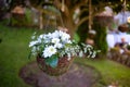 Floral arrangement hanging on a wedding decoration