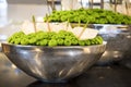 Floral arrangement white anthurium, green asters