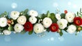 Floral arrangement with white and red ranunculus on blue background Royalty Free Stock Photo