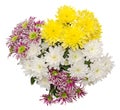 Floral arrangement with yellow, white and purple chrysanthemum flowers, close up, isolated white background Royalty Free Stock Photo