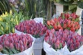 Bouquet of tulips on sale in a street shop. Royalty Free Stock Photo