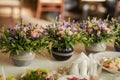 Floral arrangements from lavender and herbs