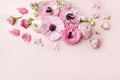 Floral arrangments of tender ranunculus flowers Royalty Free Stock Photo