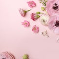 Floral arrangments of tender ranunculus flowers Royalty Free Stock Photo