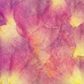 Floral art grunge batik background. Stylization pastel colors, watercolors.Vintage textured backdrop with pink, red Royalty Free Stock Photo