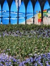 Flower and Artistic Display, Floriade, Canberra, Australia Royalty Free Stock Photo