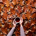 Floral autumn background. A mug of coffee in a woman`s hands in a sweater on the fallen orange leaves of oak background