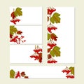 Floral autumn templates with cute bunches of red viburnum fruits on white. For ro