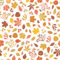 Floral autumnal leaf seamless pattern. Fall leaves background. Autumn flourish nature backdrop Royalty Free Stock Photo