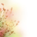 Floral Background Royalty Free Stock Photo