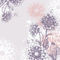 Floral background Royalty Free Stock Photo