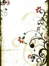 Floral background