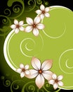 Floral background