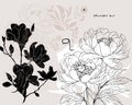 Floral Background with abstract peonies and magnolia flowers illustrations, outline botanical texture