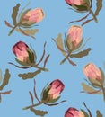 Seamless pattern with protea flower.