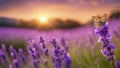 floral background with beautiful lavender flower against evening sunny sky with butterfly Royalty Free Stock Photo